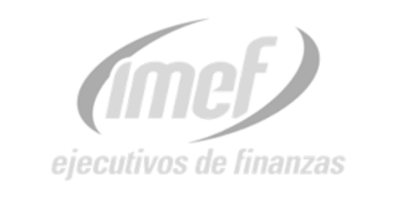 Logo de IMEF — cliente revista científica Habilis ICC