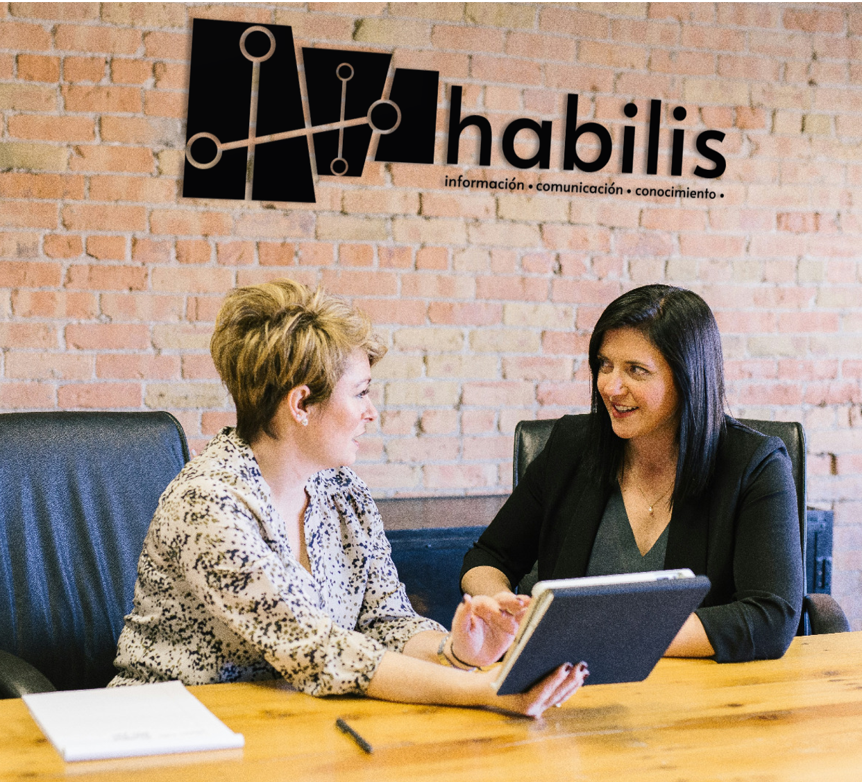 Habilis ICC — consultoría científica, formación y tecnología